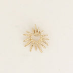 Pin
